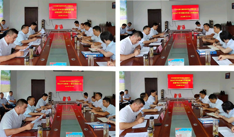 提升党建工作质效，赋能公司高质量发展
