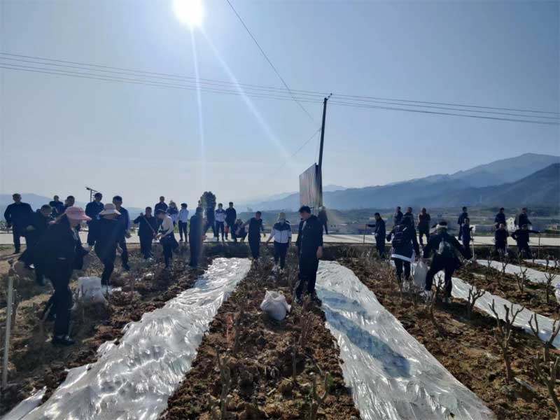 安康市蚕种场有限公司科协 开展第三十一届“科技之春”宣传月活动···
