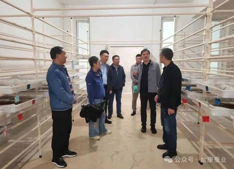 省农作物种质资源库调研组到安康市蚕种场有限公司调研桑蚕种质资···